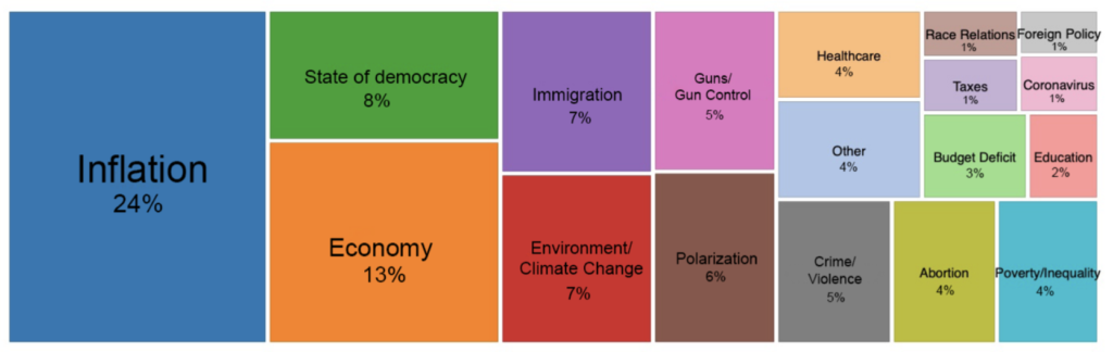 plot showing the most important issues to survey respondents